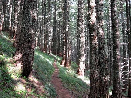 High Ridge Trail