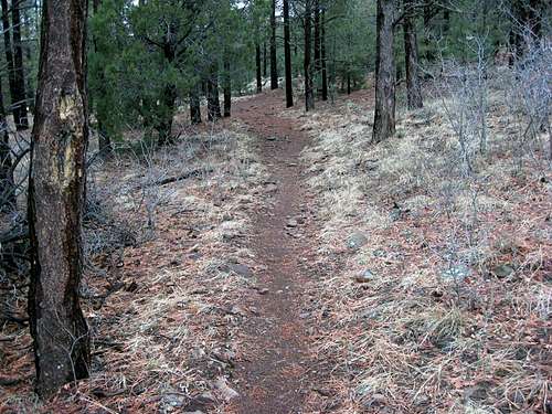 Woodchute Trail