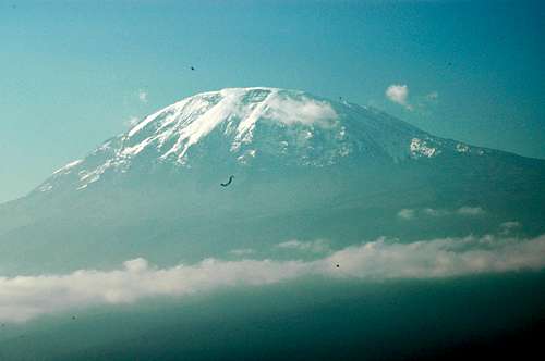 Kilimanjaro from Moshi