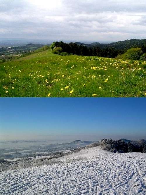 The Seasons of Mount Dzial