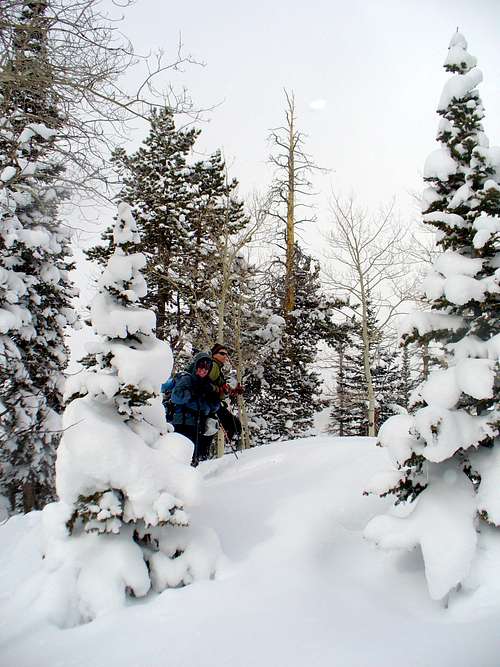 Mike and Sharon breaking trail on Castle