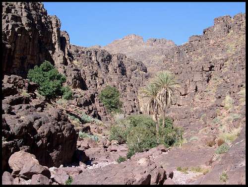 Oasis in the heart of the Djebel Sarho
