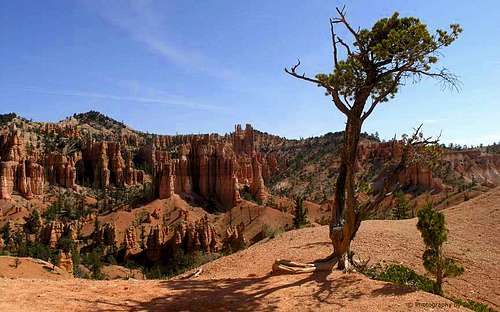 Bryce Canyon