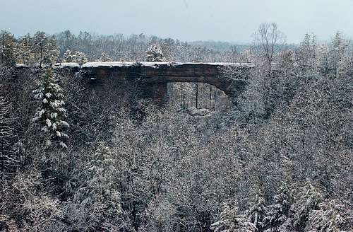 Winter at Natural Bridge