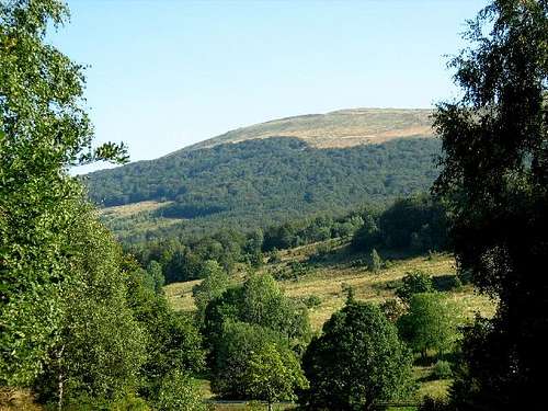 Mount Carynska Meadow (1257 m)