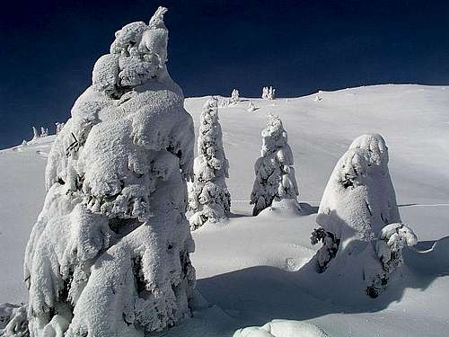 Tour skiing terrains below...