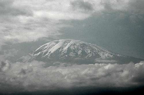 Kilimanjaro with Halo