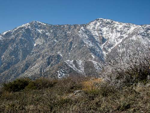 Cucamonga Pk (L) from Buck Point