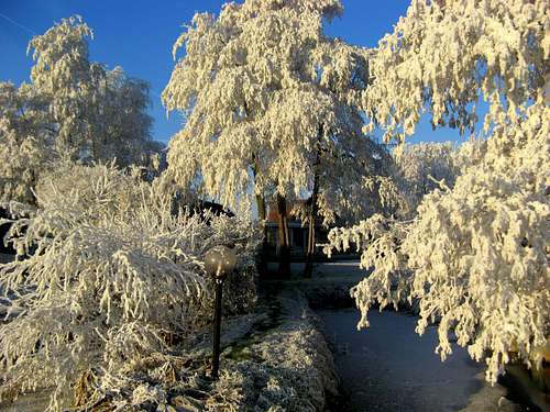 Winterwonderland...