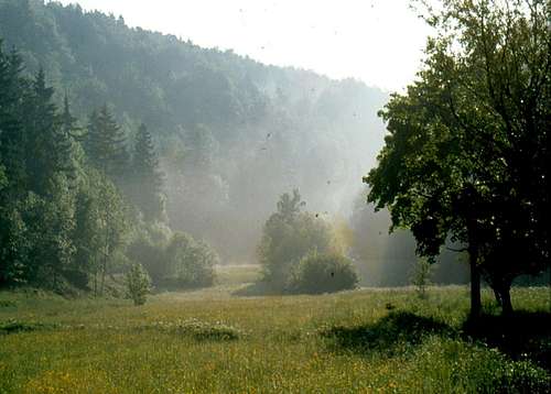 Mostviel valley