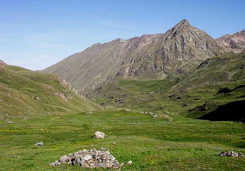 Monte Grauson