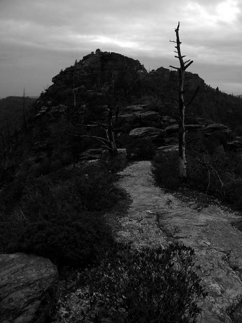 Trail at Linville Gorge