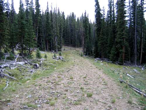 Old Logging Road