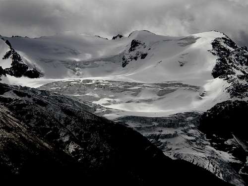 Forni Glacier