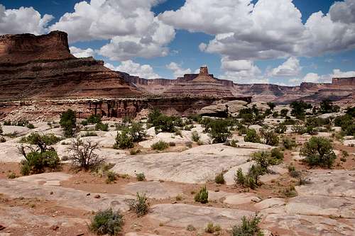 White Rim Trail in Canyonlands