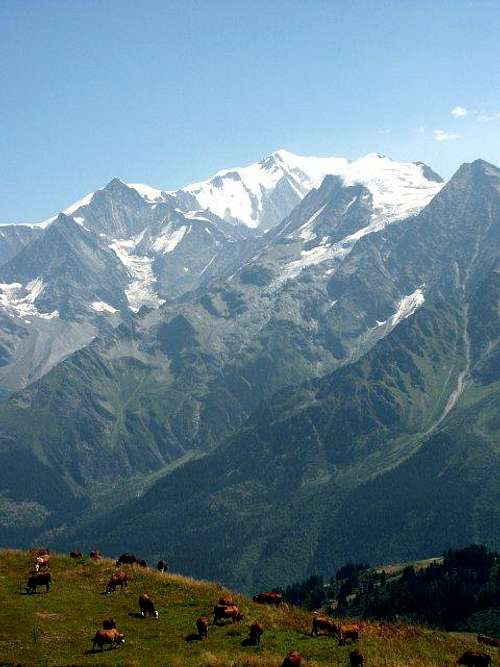 Mont-Blanc from Aiguille...