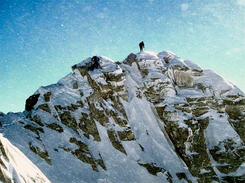 Grizz on Lone Peak Summit