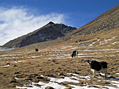 Lhasa Trekking Peaks