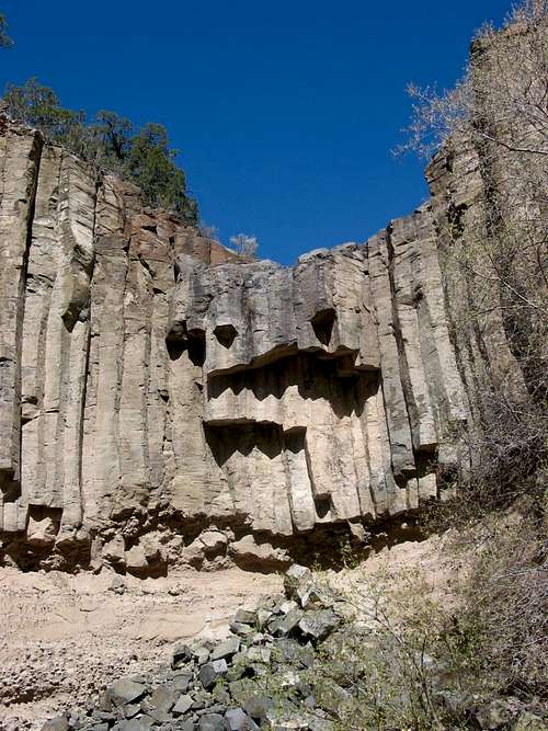 Organ Pipes in Ancho Canyon