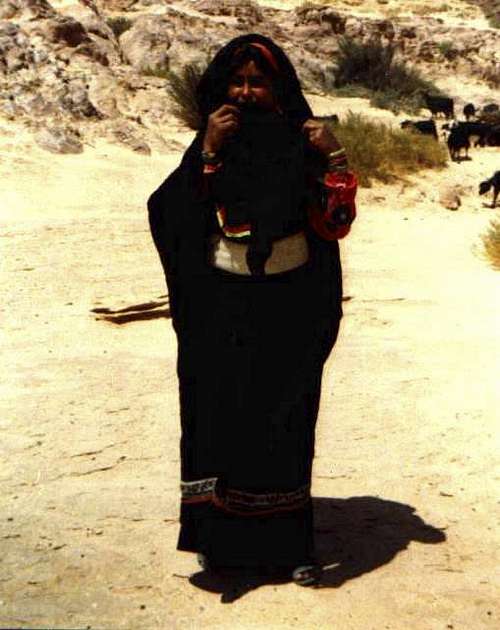 Bedouin with a herd of goats