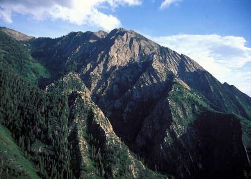 Mount Olympus 
July 1995