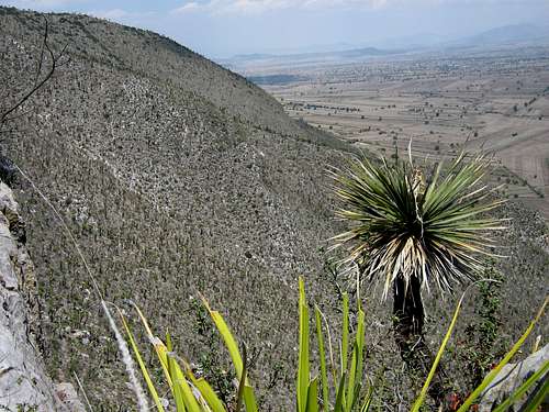 Landscape on the route up to Cerro de los Jarros