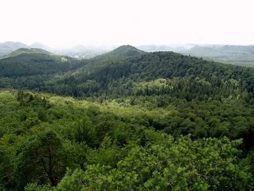 The green ocean as seen from the top of the Koetzfels !
