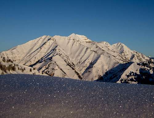 Timp above a bed of faceted snow