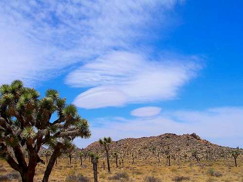 Orographic clouds over JTNP