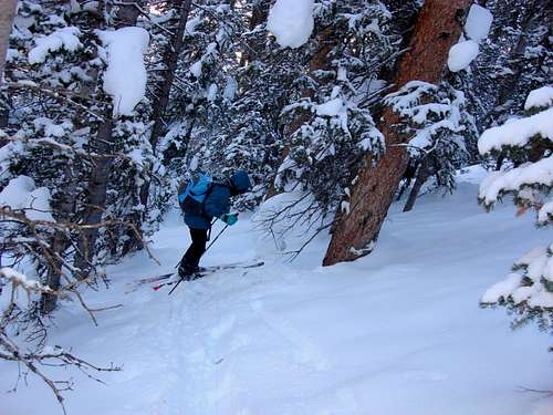 Steep section of ascent to Slader Ridge