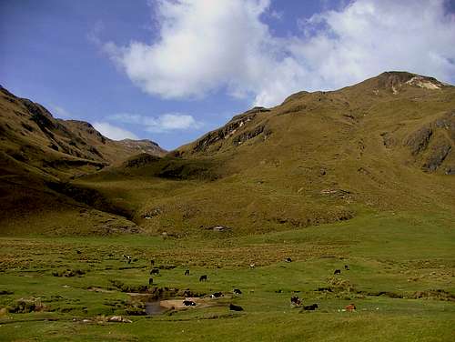 Inca Trail. Ecuador