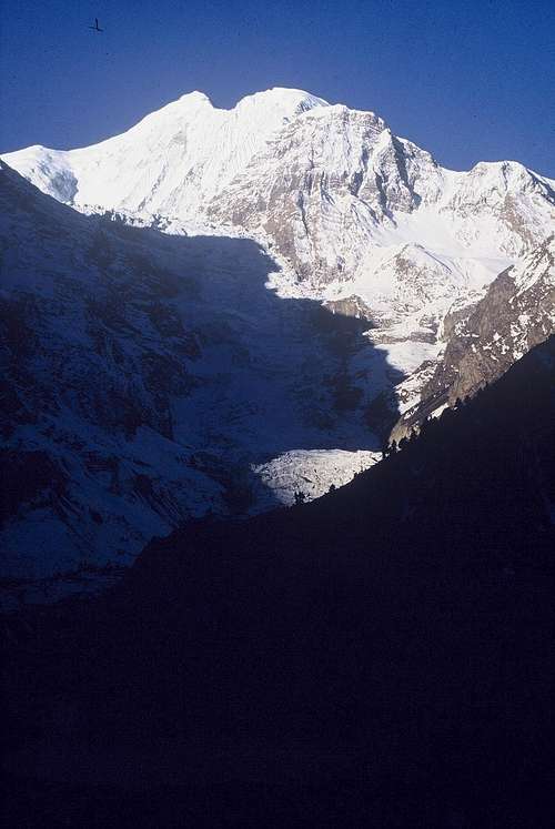 Gangapurna (7454m)-1