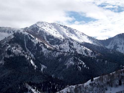Gobbler's viewed from Mt. Aire