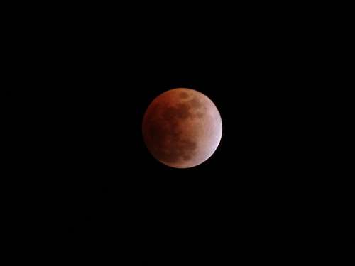 Lunar Eclipse - Feb. 20, 2008