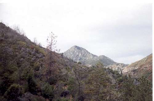 Cone Peak, as seen from Cone...