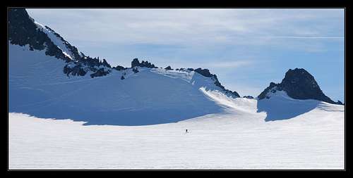 Lonely skier on Taschachferner plateau