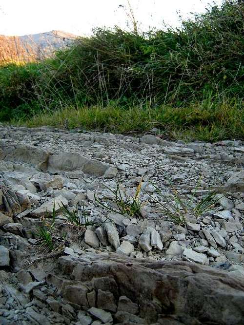 Sandstone on the slopes of Mount Graniczna