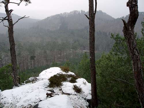 The summit of the Rothenfels, covered with snow !