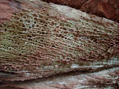 A honeycomb structure at the Rothenfels ...