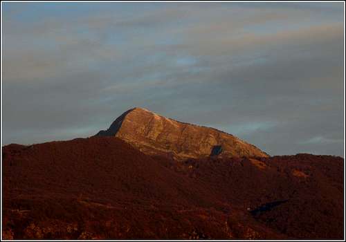 Monte Cuar