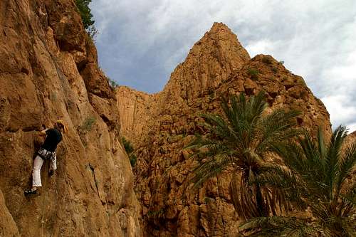 Climbing in Pl. Mansour sector, Todra