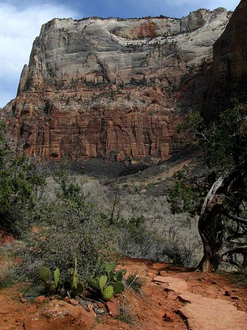 The Great White Throne, Zion National Park