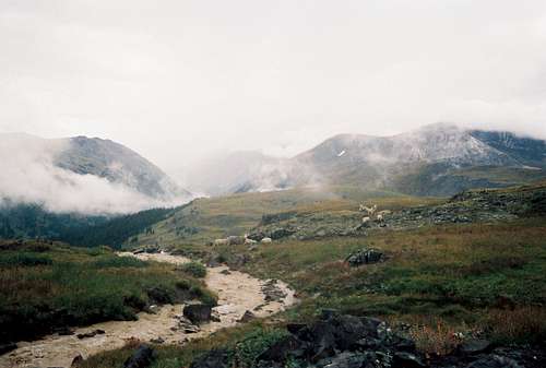 San Jaun Mountains near Engineer Pass