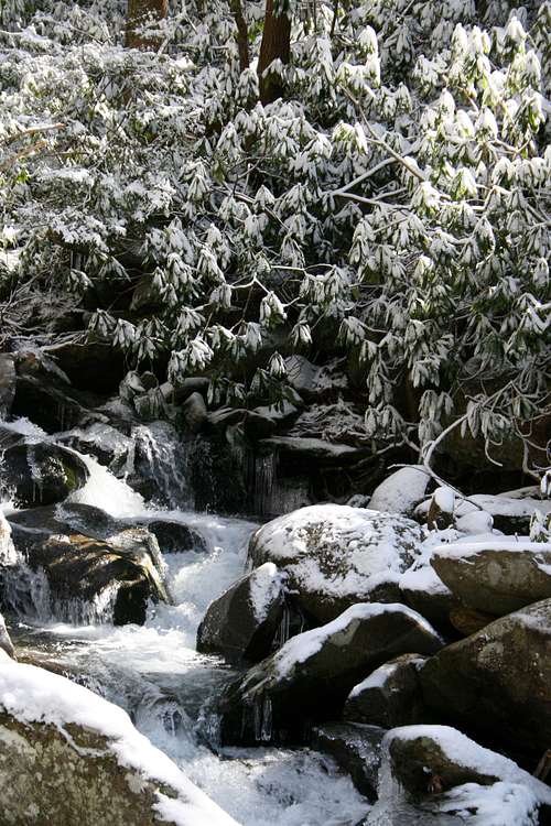 LeConte Creek in Snow