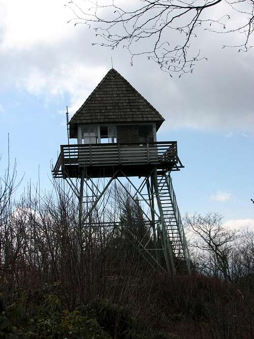 The Observation Tower