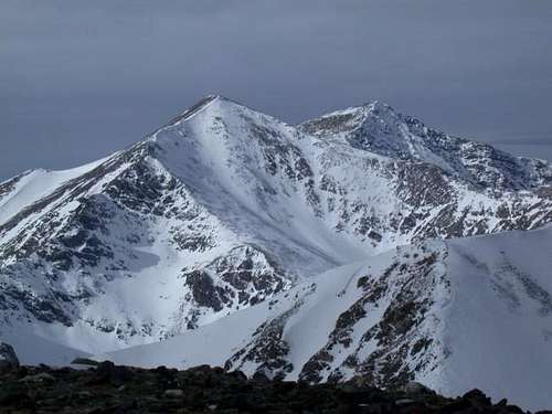 Grays (l) and Torreys (r)....