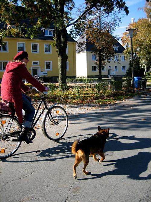 city biking with joy