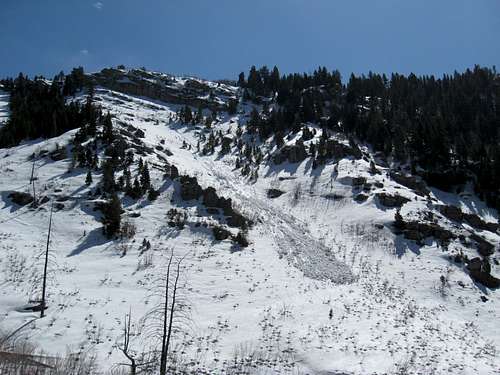 Avalanche Path in Slide Canyon