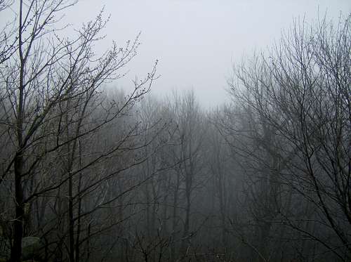 Birch Rocks Overlook