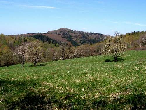 April in the Low Beskid